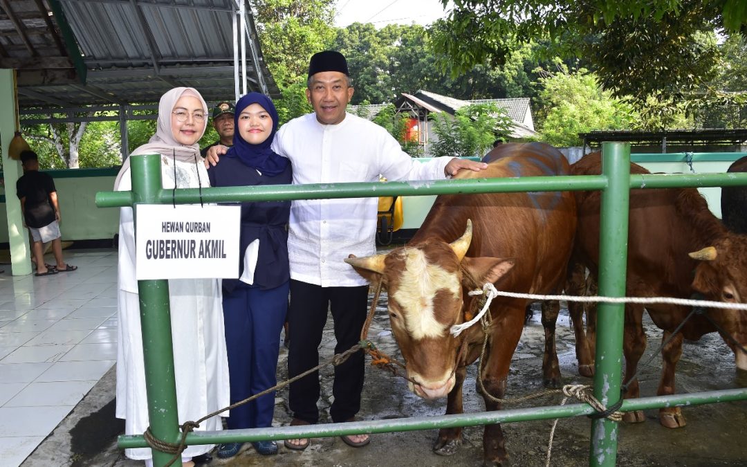 Gubernur Akmil Menyerahkan Hewan Kurban Dalam Perayaan Idul Adha 2024